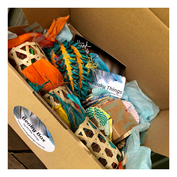 Beaky Box Small