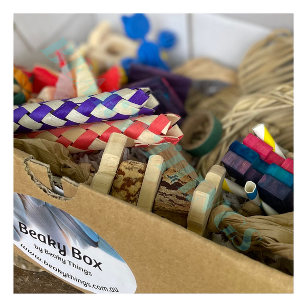 Beaky Box Foot Toy