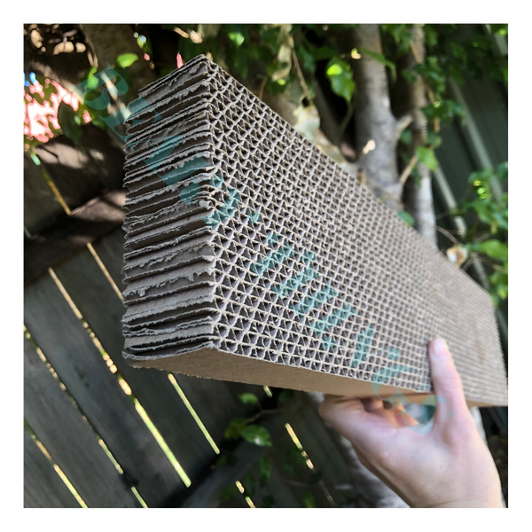 Corrugated Cardboard Foraging Rectangle Large